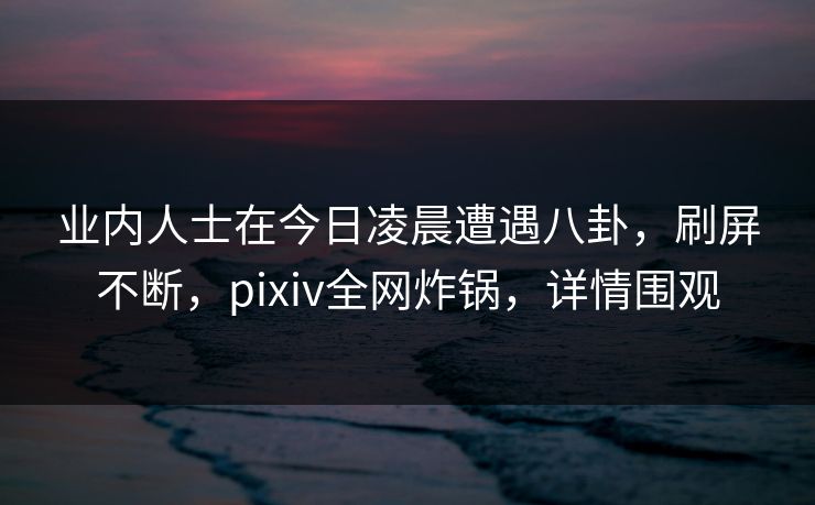 业内人士在今日凌晨遭遇八卦，刷屏不断，pixiv全网炸锅，详情围观