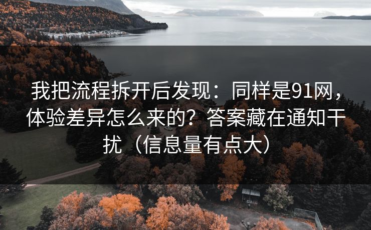 我把流程拆开后发现：同样是91网，体验差异怎么来的？答案藏在通知干扰（信息量有点大）